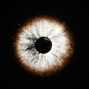 Fire eye made with fireworks 