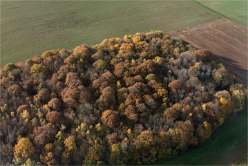 Vue aérienne de forêt à l'automne à Brueil-en-Vexin dans les Yvelines en France