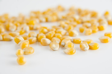 Fototapeta na wymiar Organic and healthy yellow sweet corn scattered on white background. Close up of lots of american sweetcorn seeds.