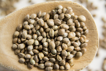 Edible raw hemp seeds on wooden spoon. Close up of hempseed cannabis plant seeds. 