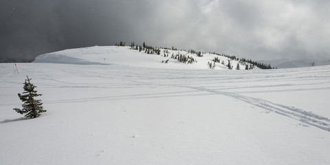 Ski tracks on snow covered mountain, Whistler, British Columbia, Canada