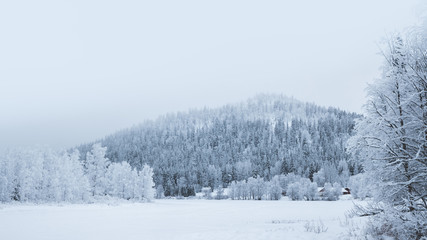 Foggy mountain