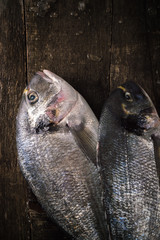 Fresh fish dorado on the on the wooden table. Top view with copy space