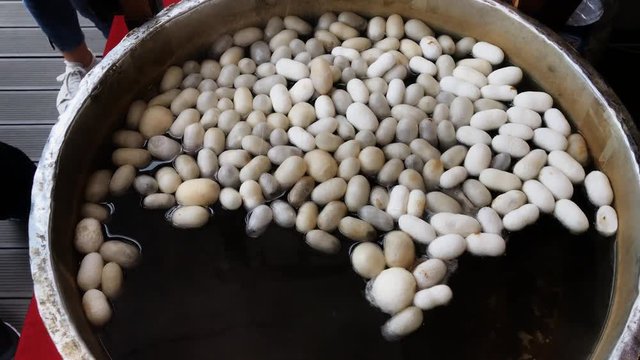 Silk making cocoon boiling process. Silk making and handmade craft (serial 4)