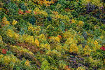 Natural autumn view of Ushguli