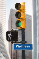 Schild 293 - Wellness