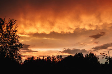 Fototapeta na wymiar Bloody clouds. Red clouds sunset.