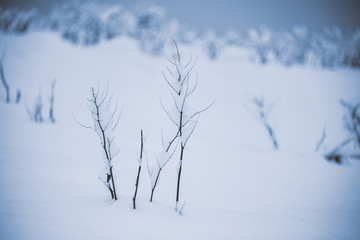Fototapeta na wymiar Snow in Ushguli,Georgia