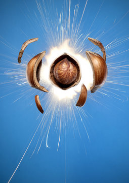 Exploding hazelnut against blue background