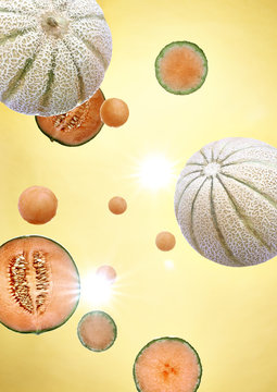 View of muskmelon fruit against orange background