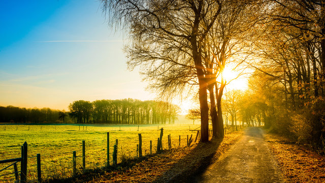 Autumn scene with rural road in the light of the rising sun