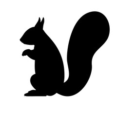 Vector black silhouette of a squirrel