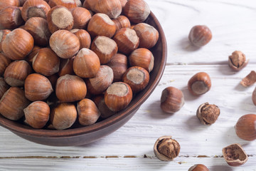 Group of hazelnuts