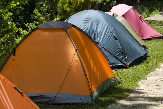 camping tents in the forest