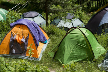 camping tents in the forest