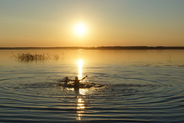Obraz premium bathing in the golden lake sun setting sun set