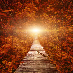 Suspension bridge. path to the light