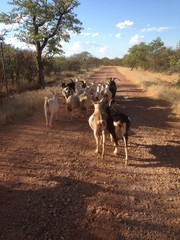 Landschaft, Tiere, Reisen