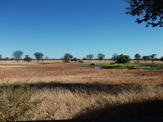 Landschaft, Tiere, Reisen