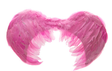 pink feathers isolated