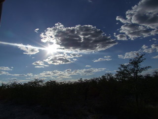 Obraz premium Reisen, Tiere, Landschaften