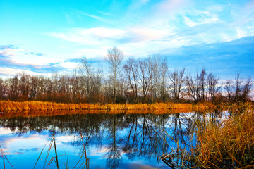 Late fall. Autumn landscape on the lake.