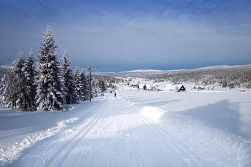 Fototapeta na wymiar Winter mountain landscape with cross country skiing trails, Jeseniky mountains, Czech Republic