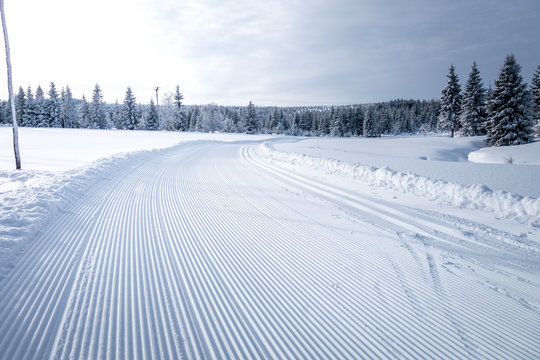 Winter Mountain Landscape With Cross Country Skiing Trails, Jeseniky Mountains, Czech Republic