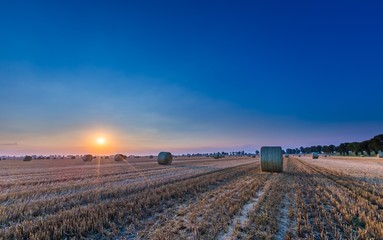 Summer landscape with stubble field