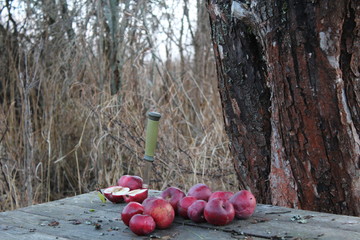 Red apples on an old wooden table lie in the open air against the background of an apple tree