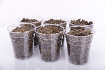 sample soil for testing in the laboratory