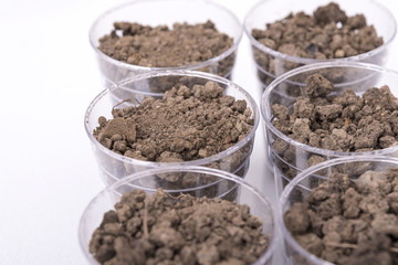 sample soil for testing in the laboratory