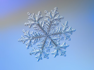 Snowflake glittering on blue background. Macro photo of real snow crystal: large stellar dendrite with fine hexagonal symmetry, complex ornate shape and six long, elegant arms with many side branches.