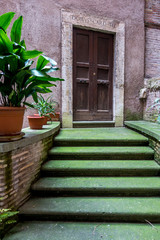 Fototapeta na wymiar Moss-covered stairs, closed door, Rome, Italy
