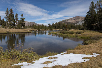 Fototapeta premium Yosemite