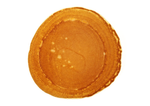 Tasty pancake isolated on white background, top view