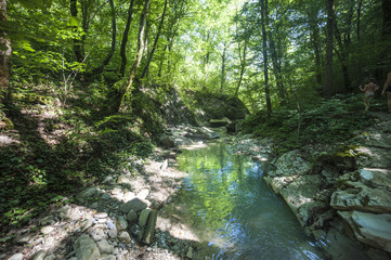 Mountain river Pshada