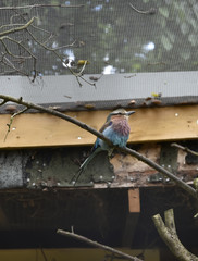 Bird Garden at Beautiful Country House near Leeds West Yorkshire that is not National Trust
