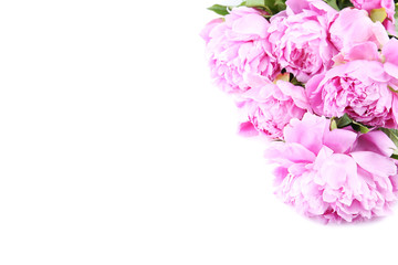 Bouquet of peony flowers isolated on white