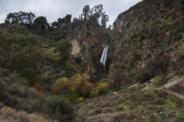 Waterfall in forest, Tahana Waterfall, Nahal Ayoun Nature Reserve, Metula, Northern District, Israel