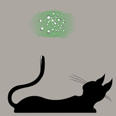 the cat looks up at the stars