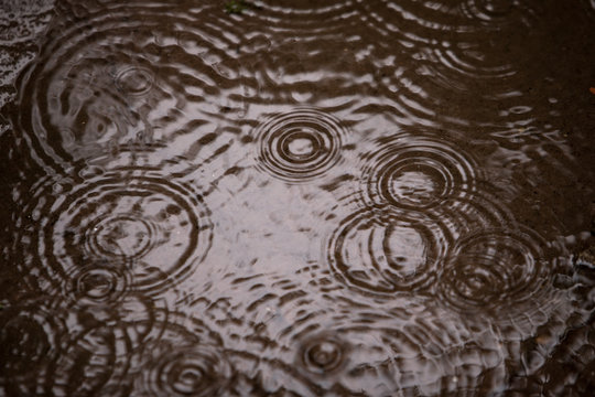 Chuva