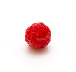 One red raspberry isolated on white background.