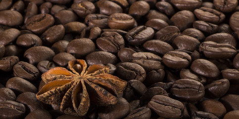 star anise, on the background of coffee with beautiful highlights on the surface of grains