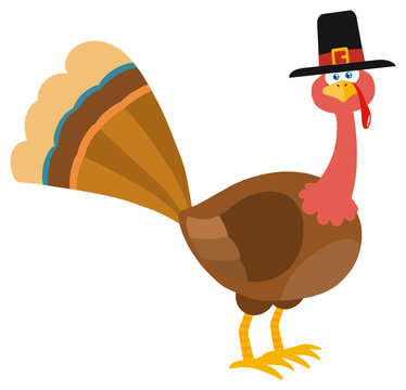 Thanksgiving Turkey Bird With Pilgrim Hat Cartoon Character. Illustration Flat Design Isolated On White Background