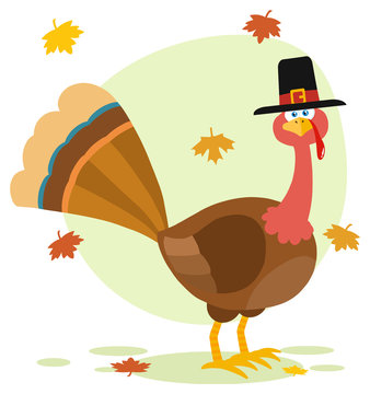 Thanksgiving Turkey Bird With Pilgrim Hat Cartoon Character. Illustration Flat Design Isolated On White Background
