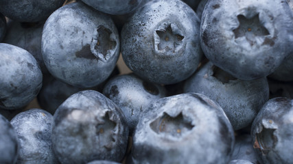 Macro shot of fresh bilberry or blueberries.