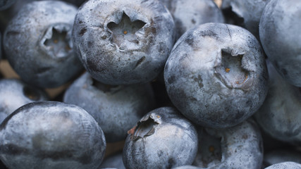 Macro shot of fresh bilberry or blueberries.