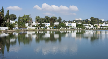 Fototapeta na wymiar Tunisia. Carthage - Byrsa hill seen from lagoon of ancient Punic ports.