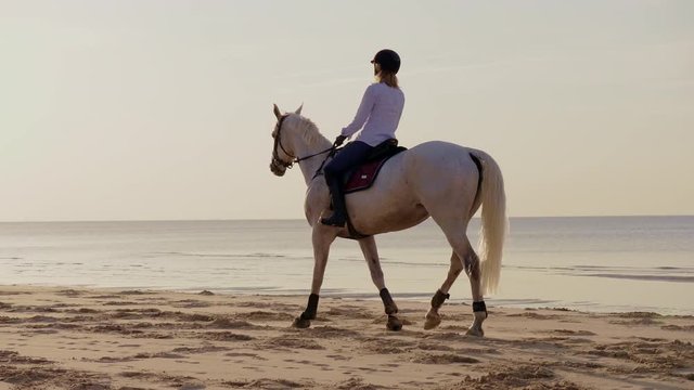 Middle-aged woman riding horse on a beach